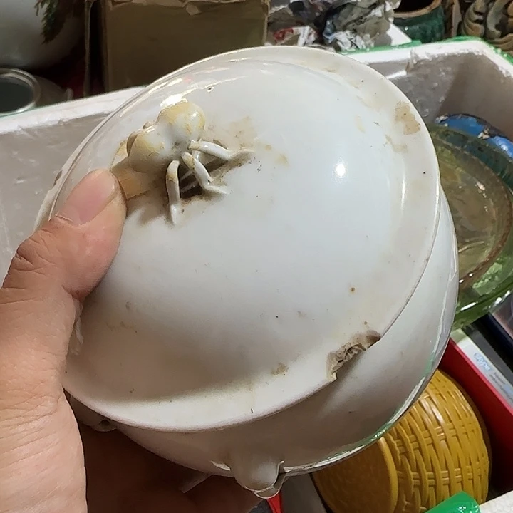 钟***我扇子哈哈哈哈哈哈哈不好那你吧