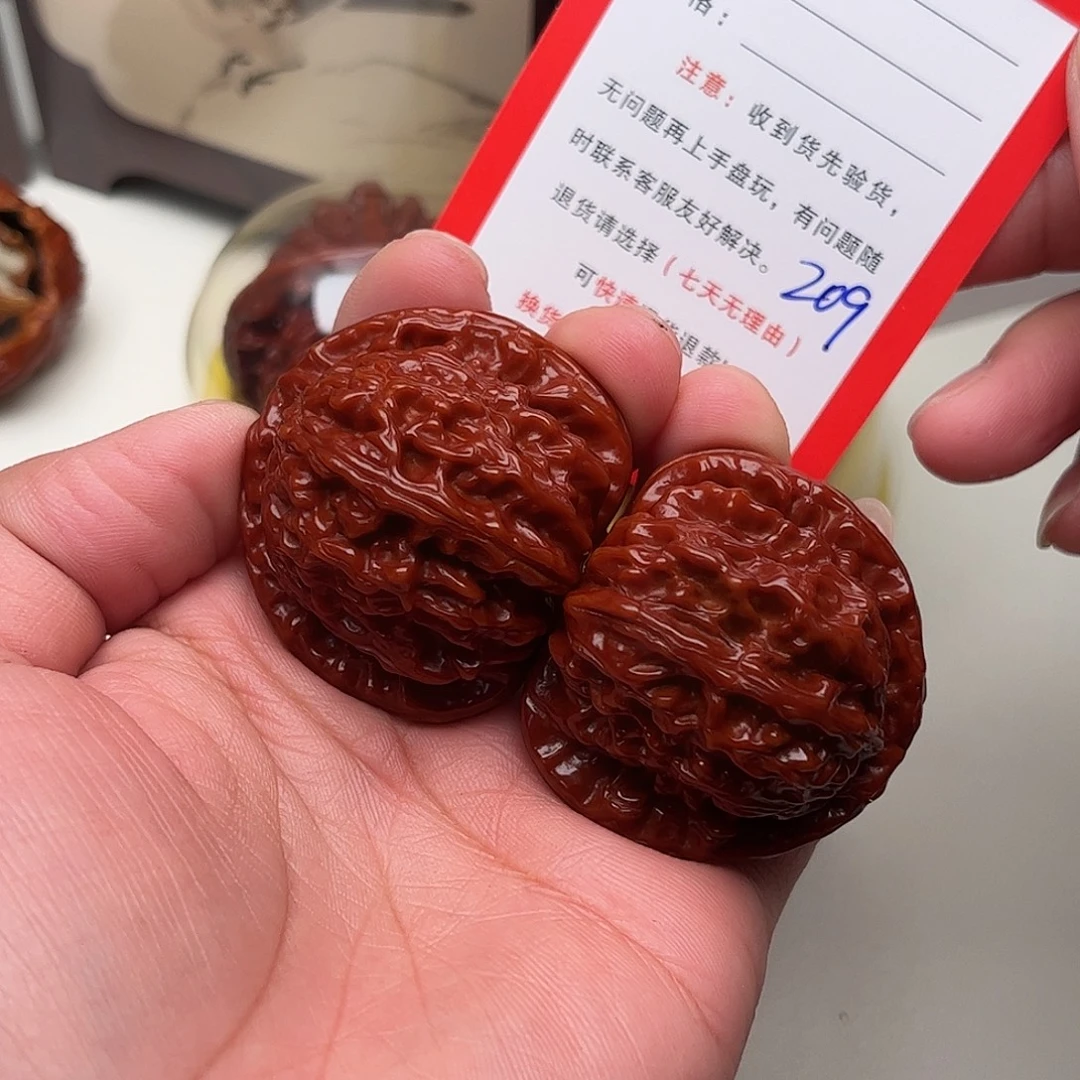 209。 41尺。 白狮子