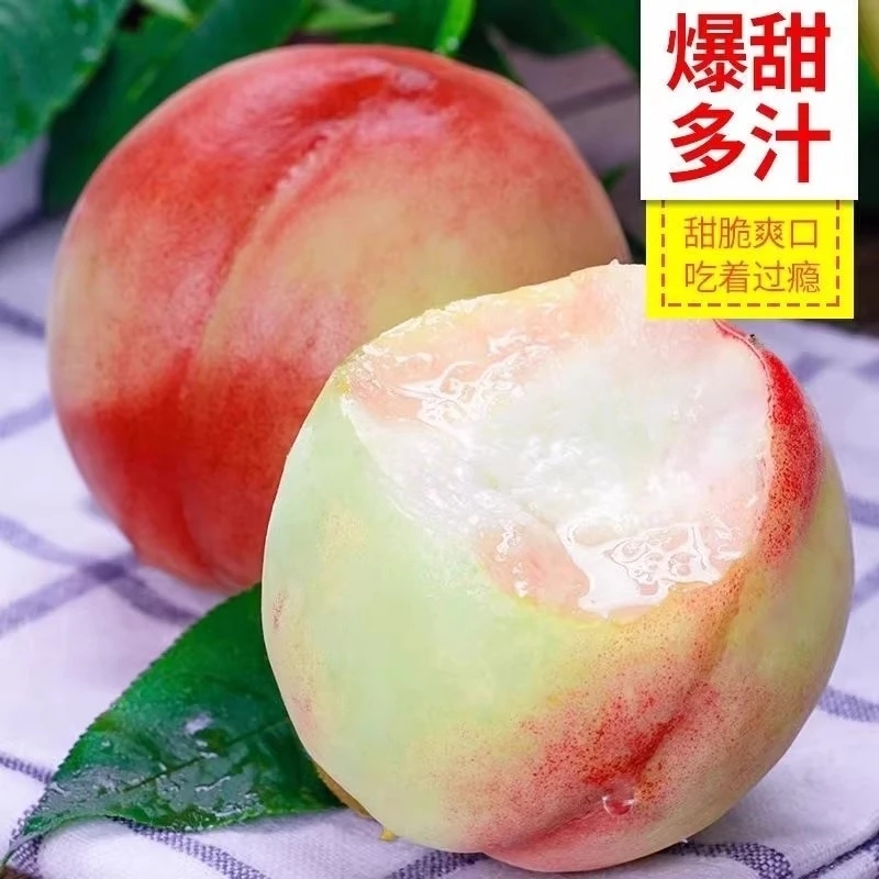 红不软毛桃新鲜水果甜脆桃子当季整箱应季时令孕妇鲜现摘水密多汁
