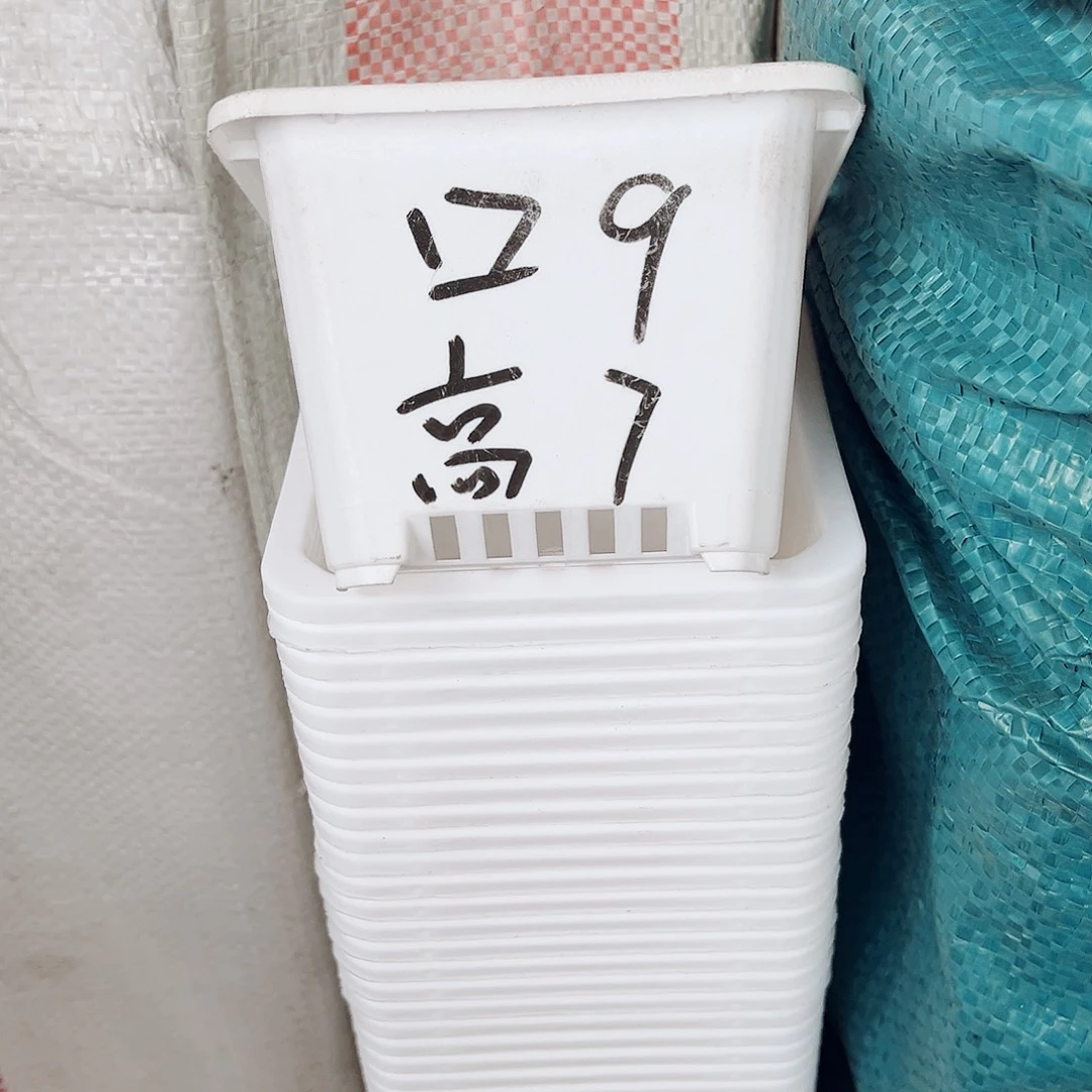 塑料福利款9方白色盆20个无托