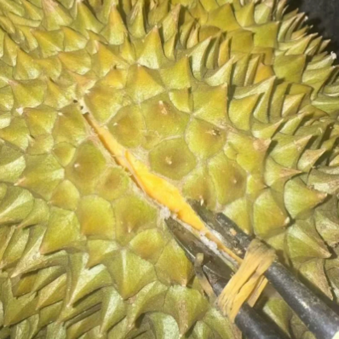 泰国进口空运金枕鲜榴莲3/4/5/6/7/8斤 核小（保四房肉）新鲜金枕泰国东部