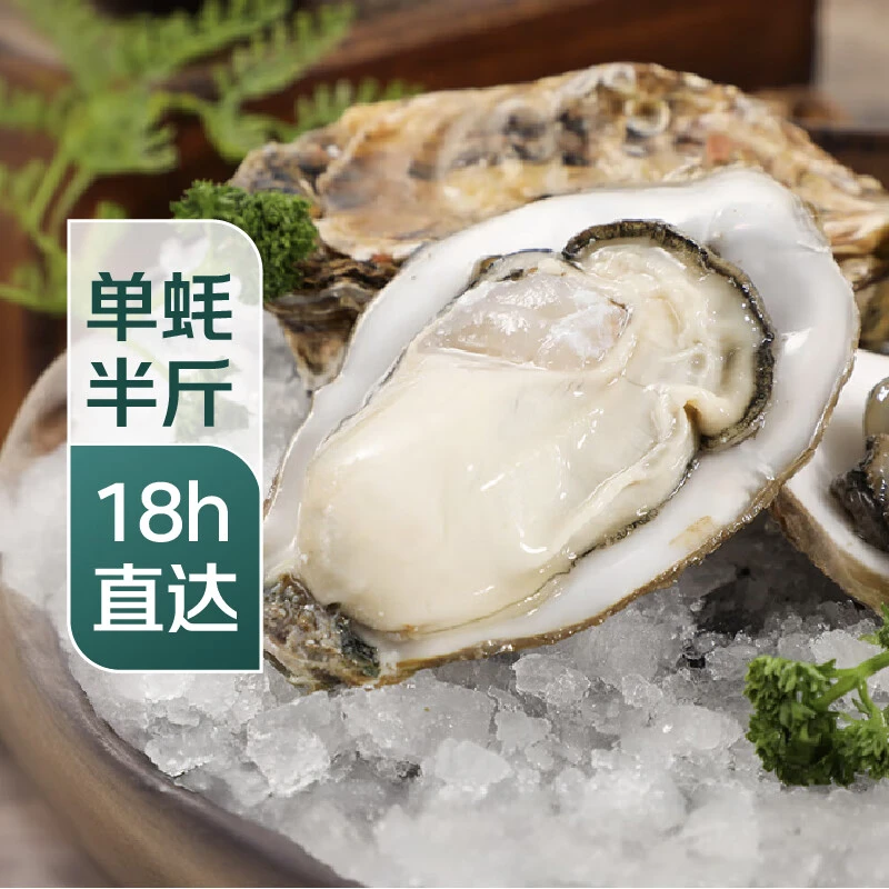 鲜活大冷水生蚝230-300g/个