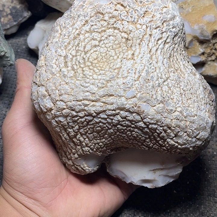 凯***伟有机玻璃奇石怪石摆件