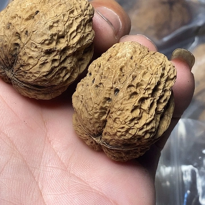 文玩核桃把件云南铁核桃B93