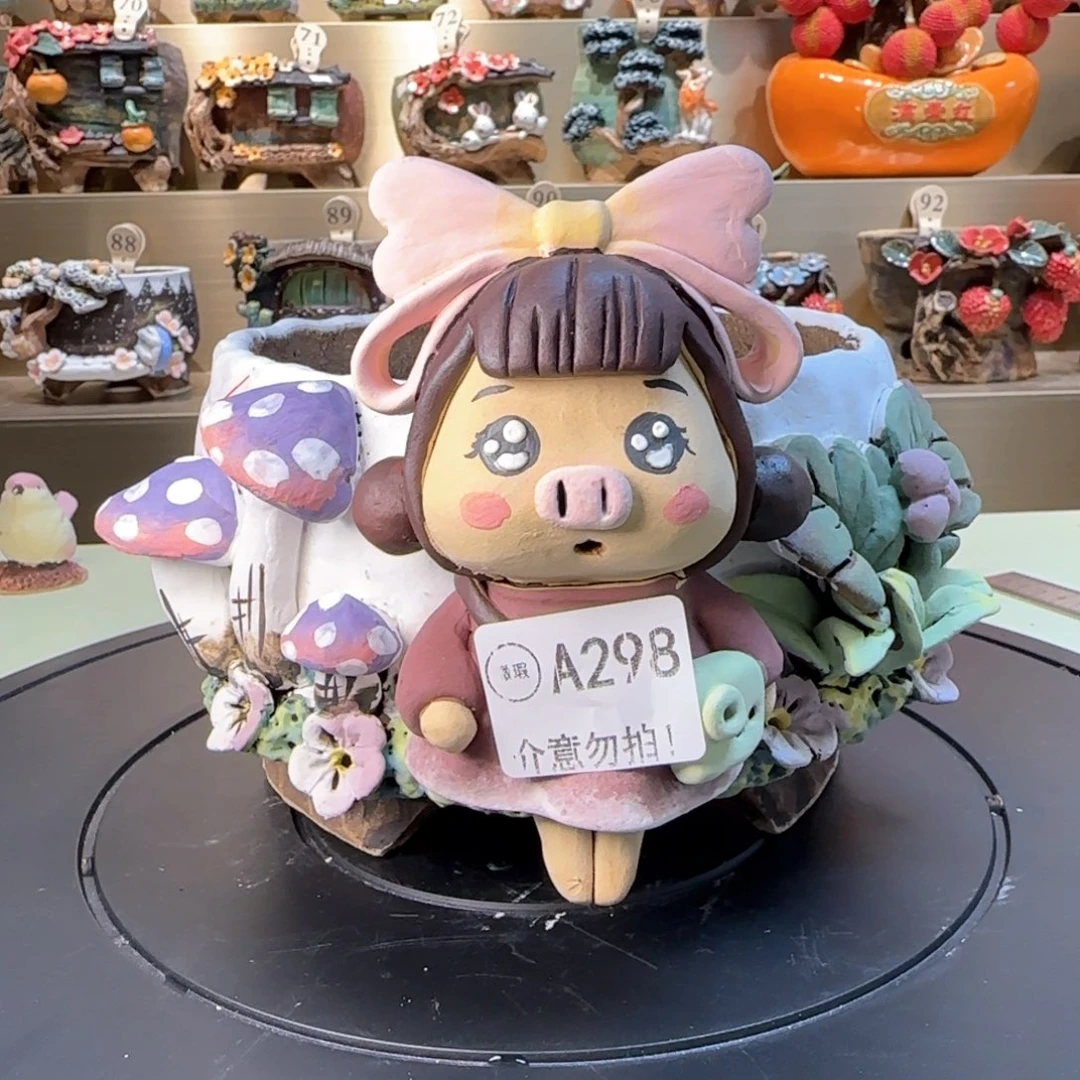 A298 【闪购】多肉花盆