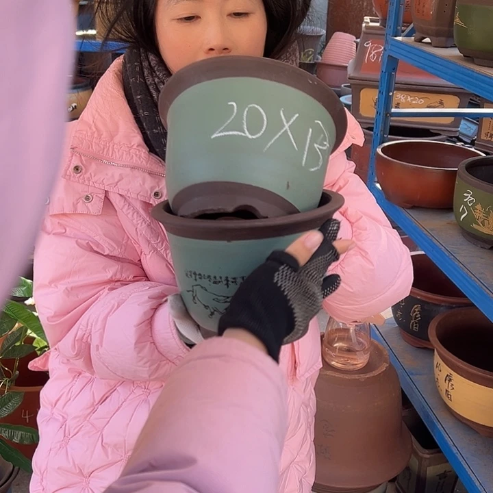 20/20绿放牛娃平角金钟