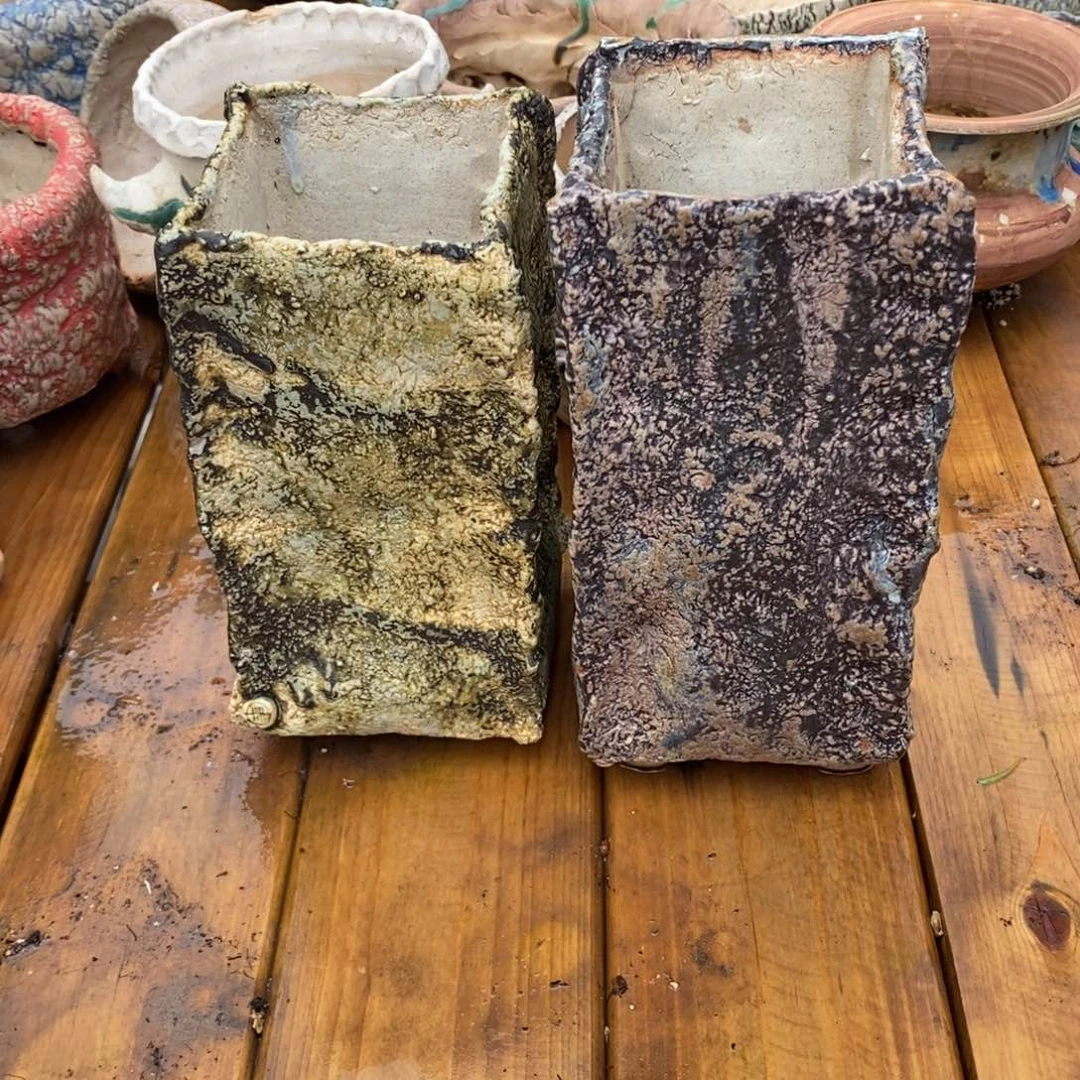 喜***多109号多肉盆两个组合