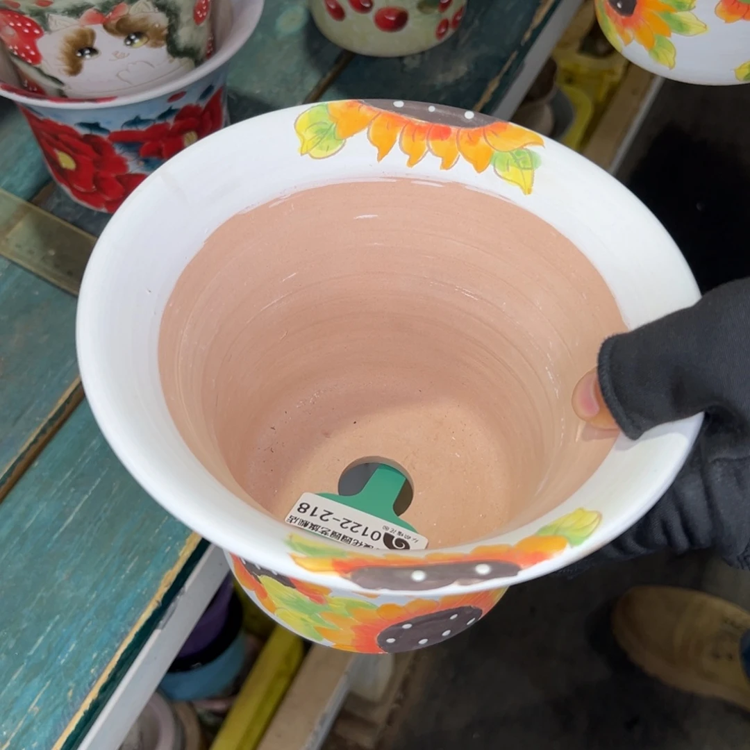 许*?多肉精选编号0122.218