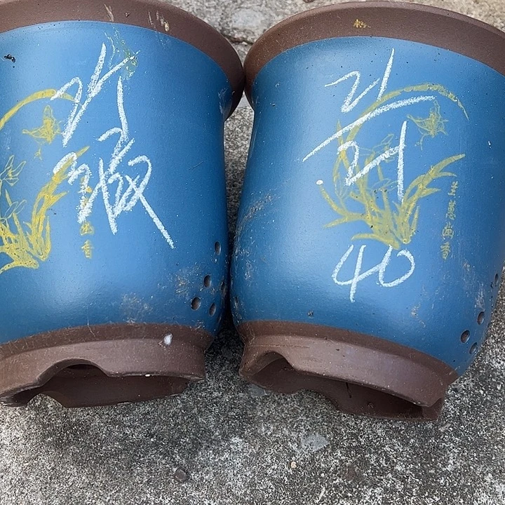 40…………………………………………