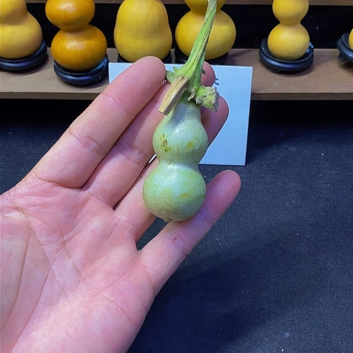 M**龚哈哈哈哈哈哈哈哈哈哈哈