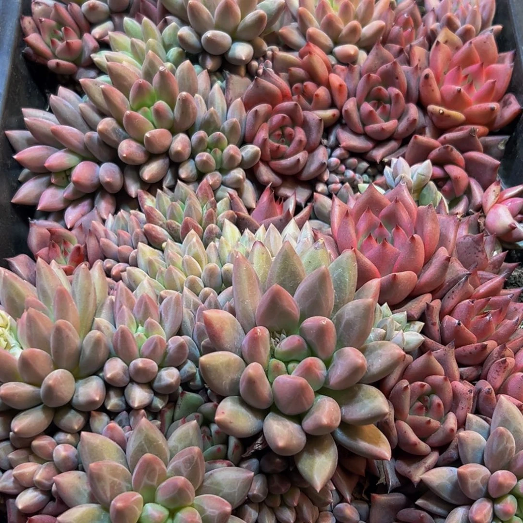 137大热天大风大浪