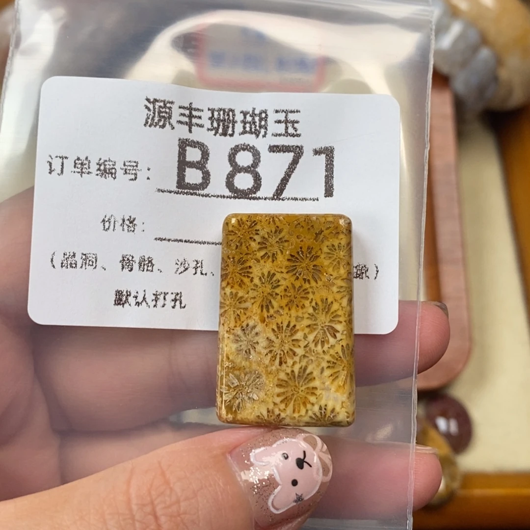 悦***r未镶嵌颈饰硅化玉