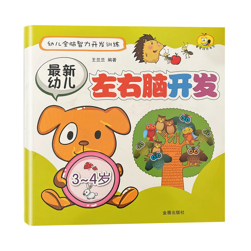 左右脑开发3-4 幼儿全脑智力开发训练    D1