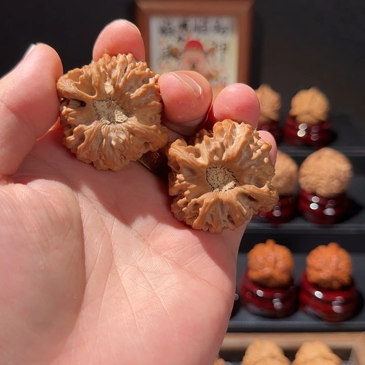 核桃龙门涧陨石坑树王对