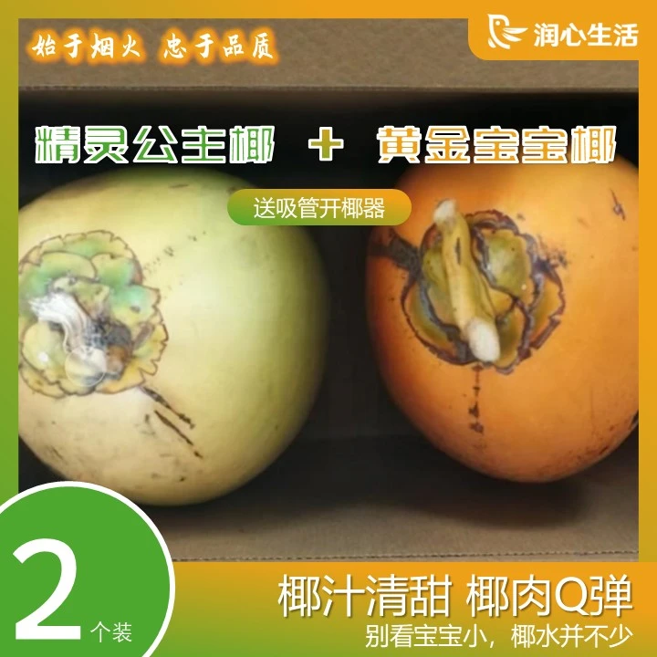 锦润心精灵公主椰-比黄金椰多甜一点点 新鲜现摘现发 孕妇补水