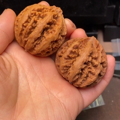 文玩核桃把件秦岭森林核桃