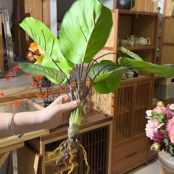 一口价 样品福利福利