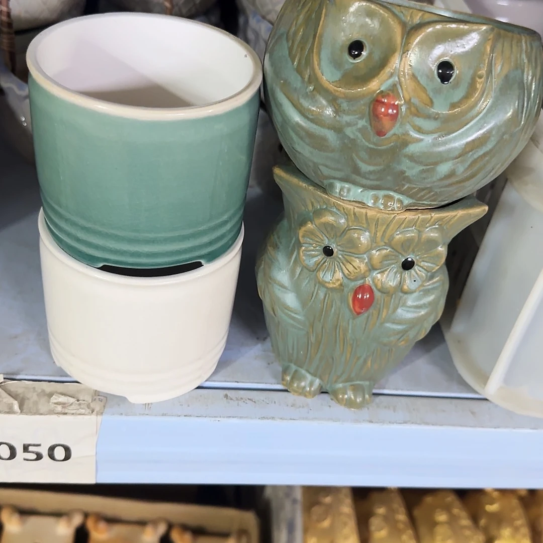 4个福利局绿植多肉盆［凑9元包邮24小时发］