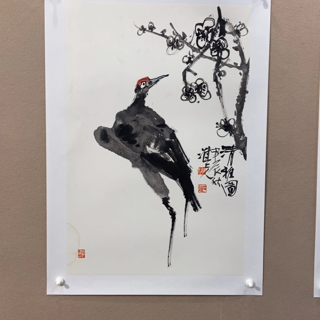 【闪购商品】国画向***发墨鱼精品墨鱼精品