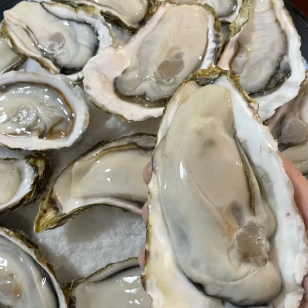 鲜活生蚝6+一个装（需要开壳请备注）