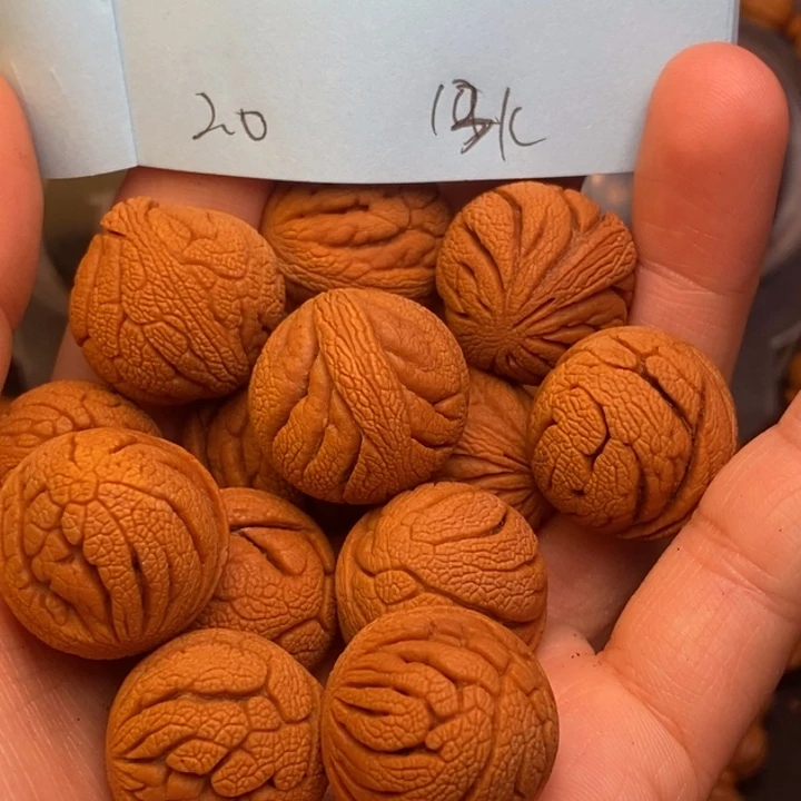 桃核吊坠秦岭龙纹桃核20尺寸