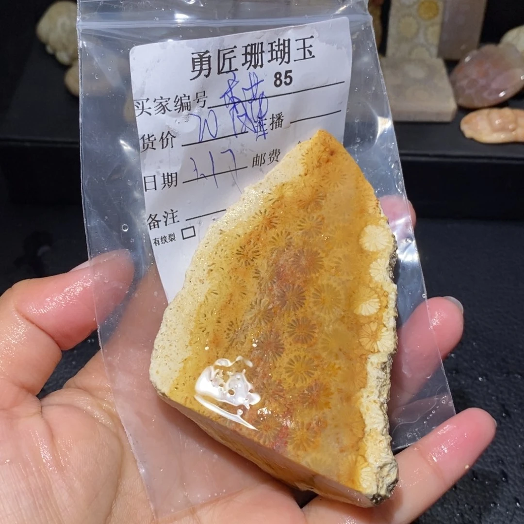 【闪购商品】硅化玉颈饰未镶嵌爱****宝