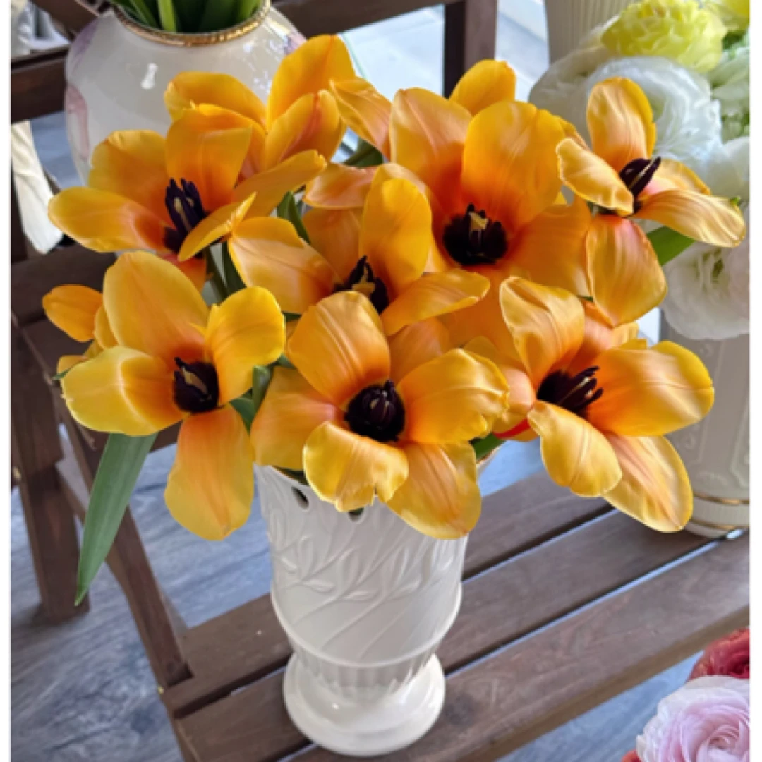 老王【心想事橙 郁金香】2单冷链/3单空运 /云南鲜花基地直发