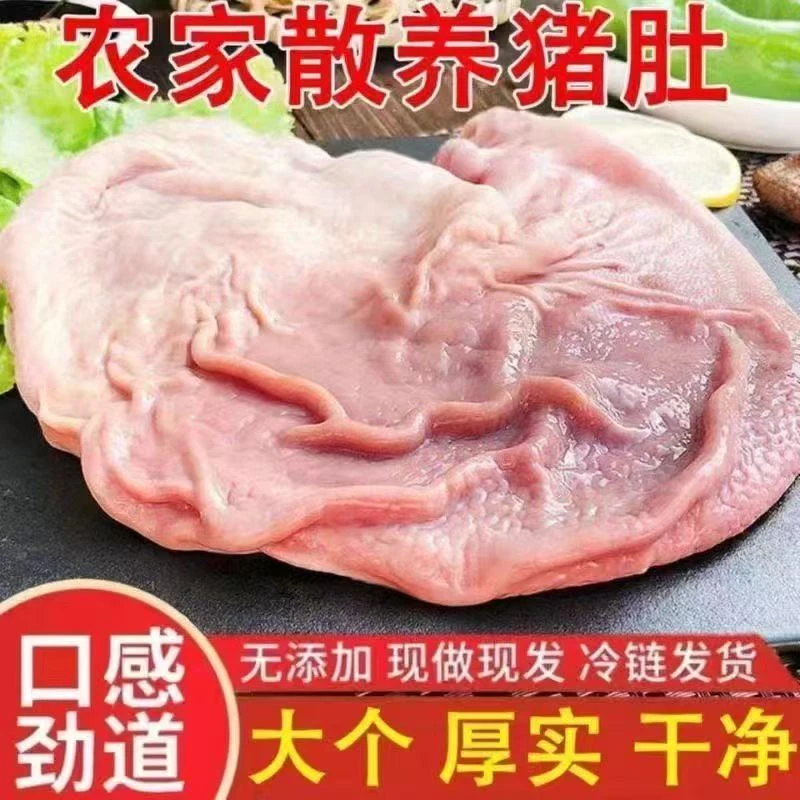 【活动中】猪肚新鲜现杀特厚猪肚大肚子冷链整个猪肚子猪胃