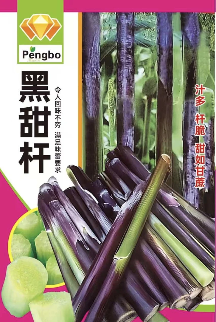 黑甜秆种子甜秆籽