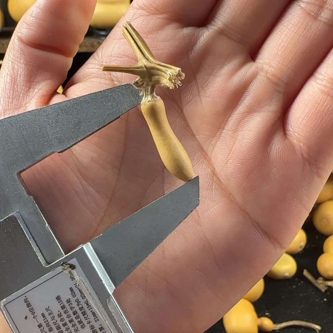 小***9葫芦葫芦葫芦葫芦葫芦葫芦