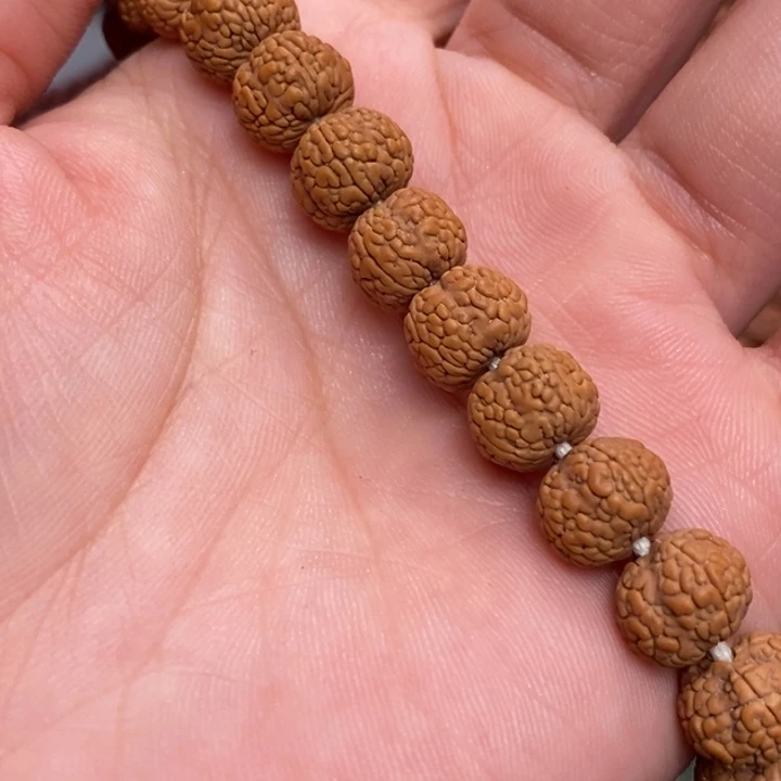 菩提不***?龙鳞小金刚