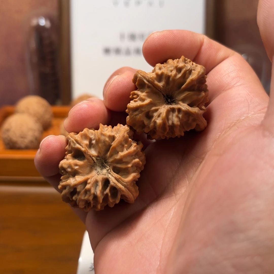 文玩核桃吊坠曹大龙Q5811