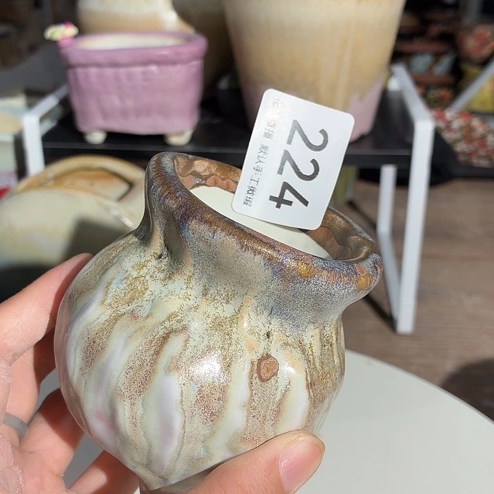 花盆老二放大福利来咯