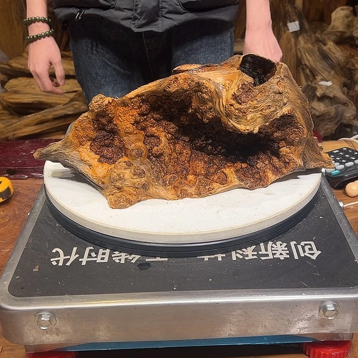 松木（琥珀木）成****！