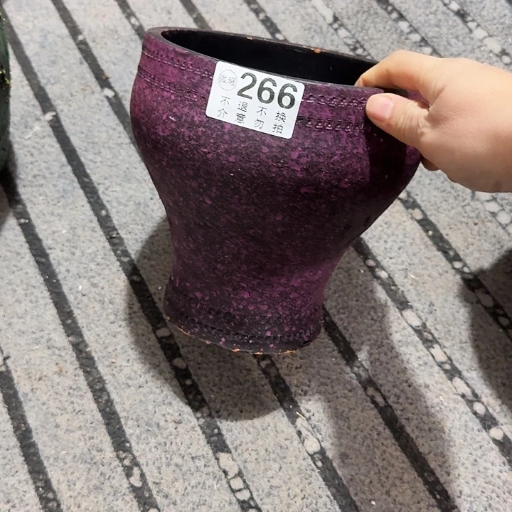 紫色鱼尾266高度20口径18