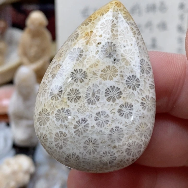 硅化珊瑚（珊瑚玉）未镶嵌颈饰有瑕