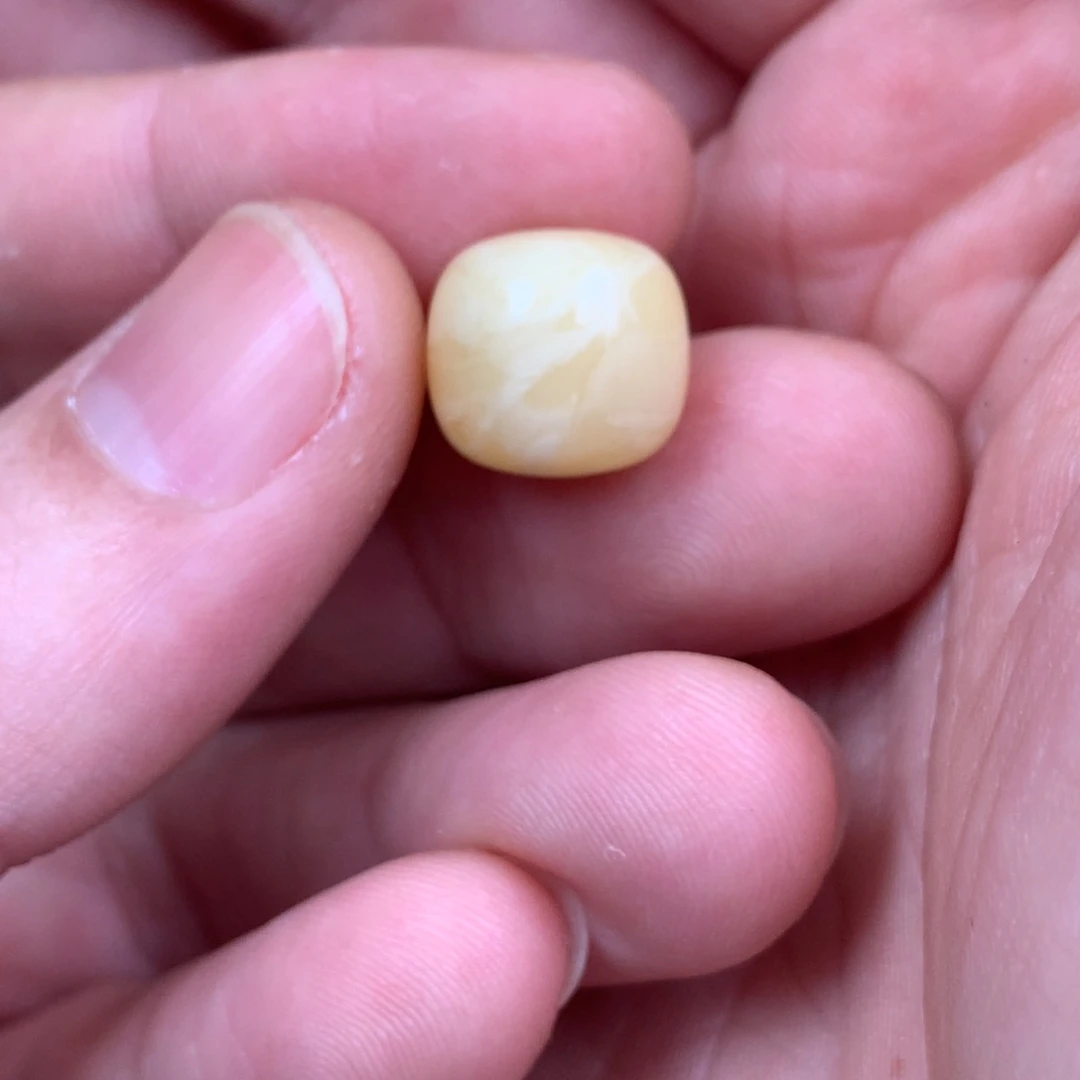 琥珀裸石未镶嵌王*.蜜蜡