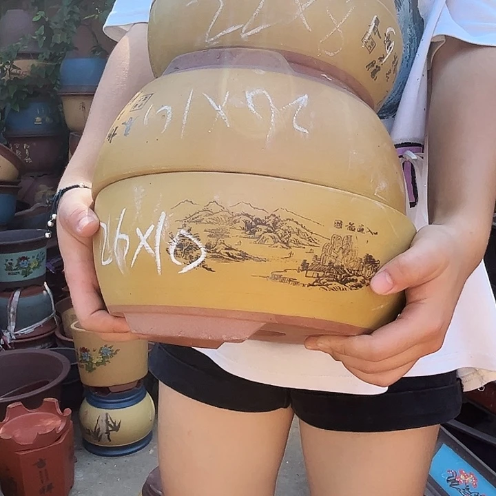 黄色江山如画中小两对花盆