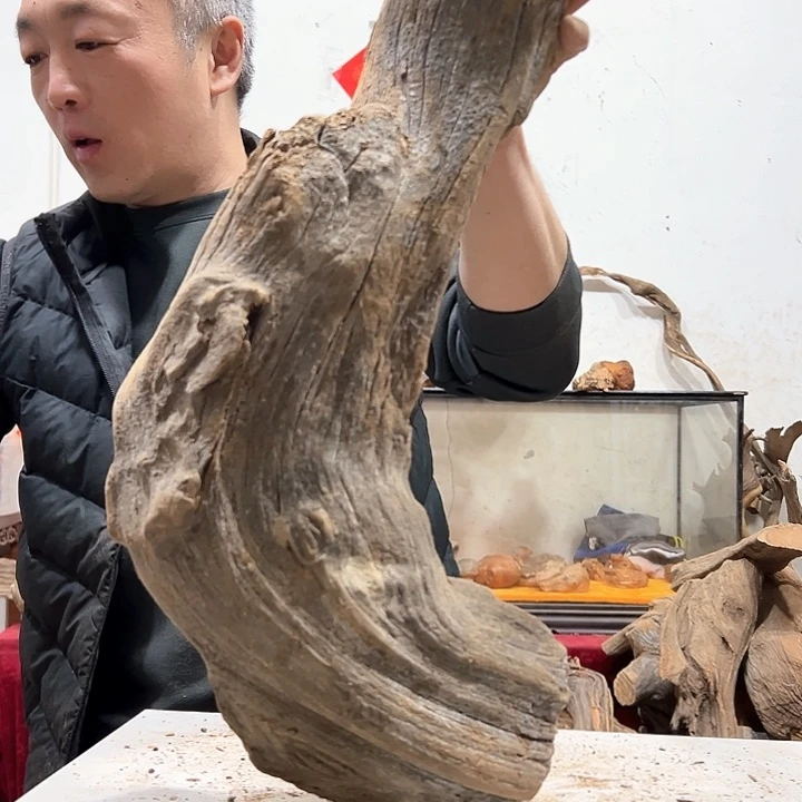 柏木林*我们都是好孩子呀我