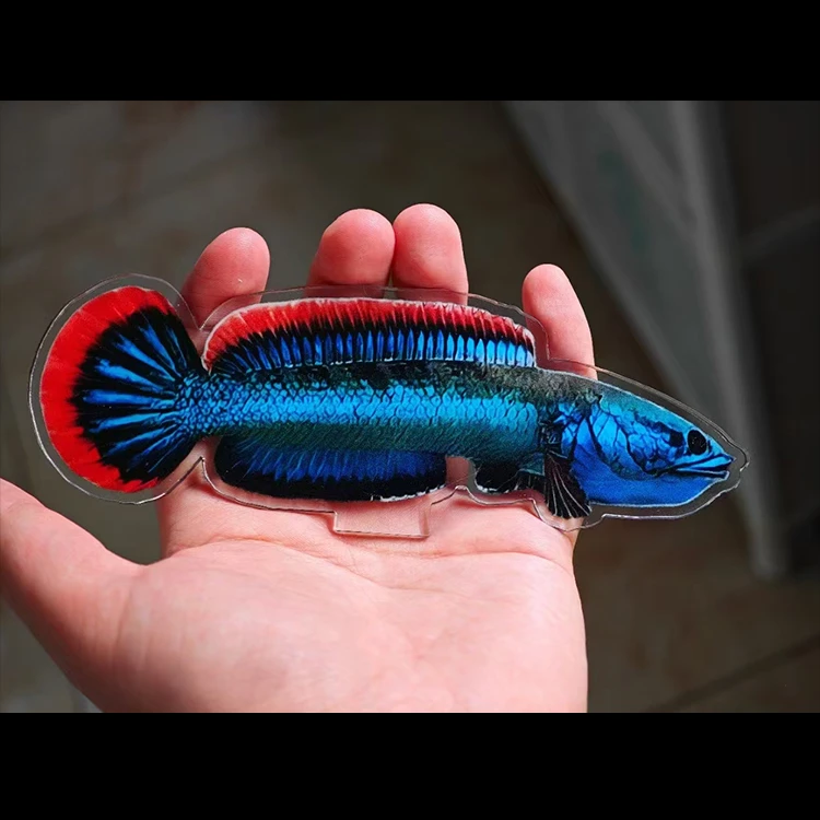 珍藏版阿凡达训鱼卡片12cm款