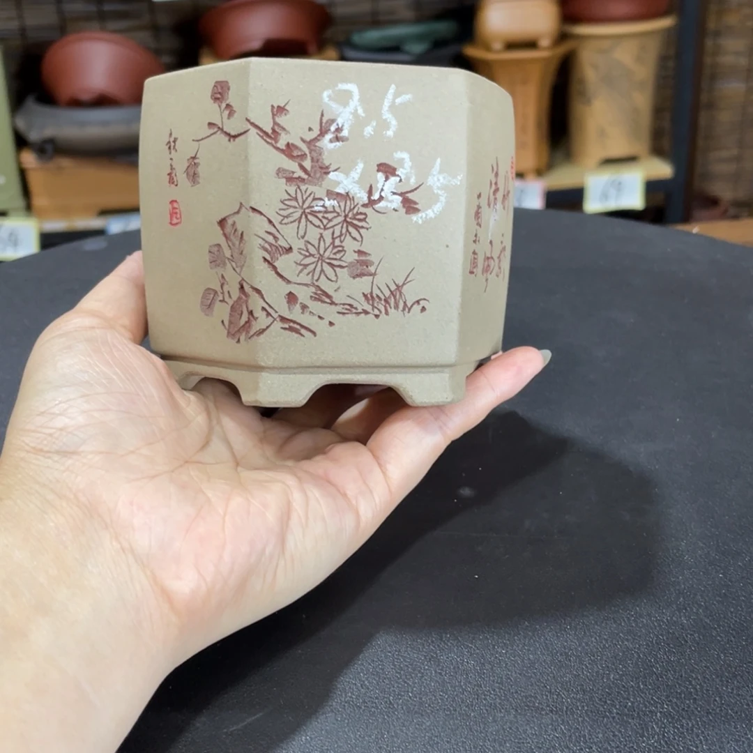 紫砂花盆紫砂和白
