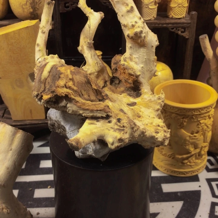 陈***狐木木料努力努力努力