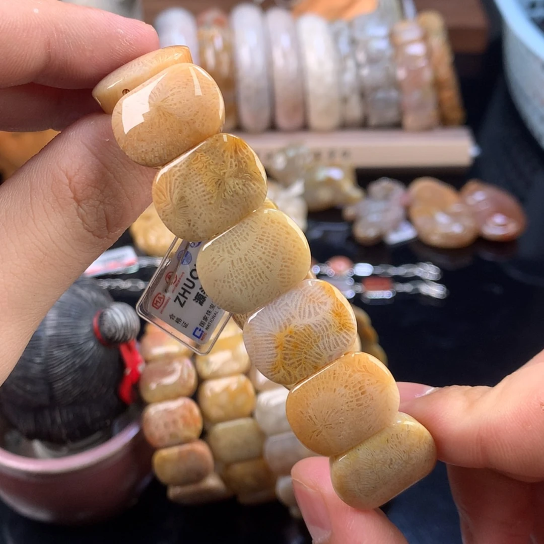 【闪购商品】硅化珊瑚（珊瑚玉）未镶嵌颈饰5号