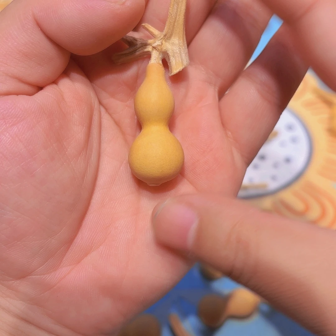 ***哈哈哈哈哈哈哈哈