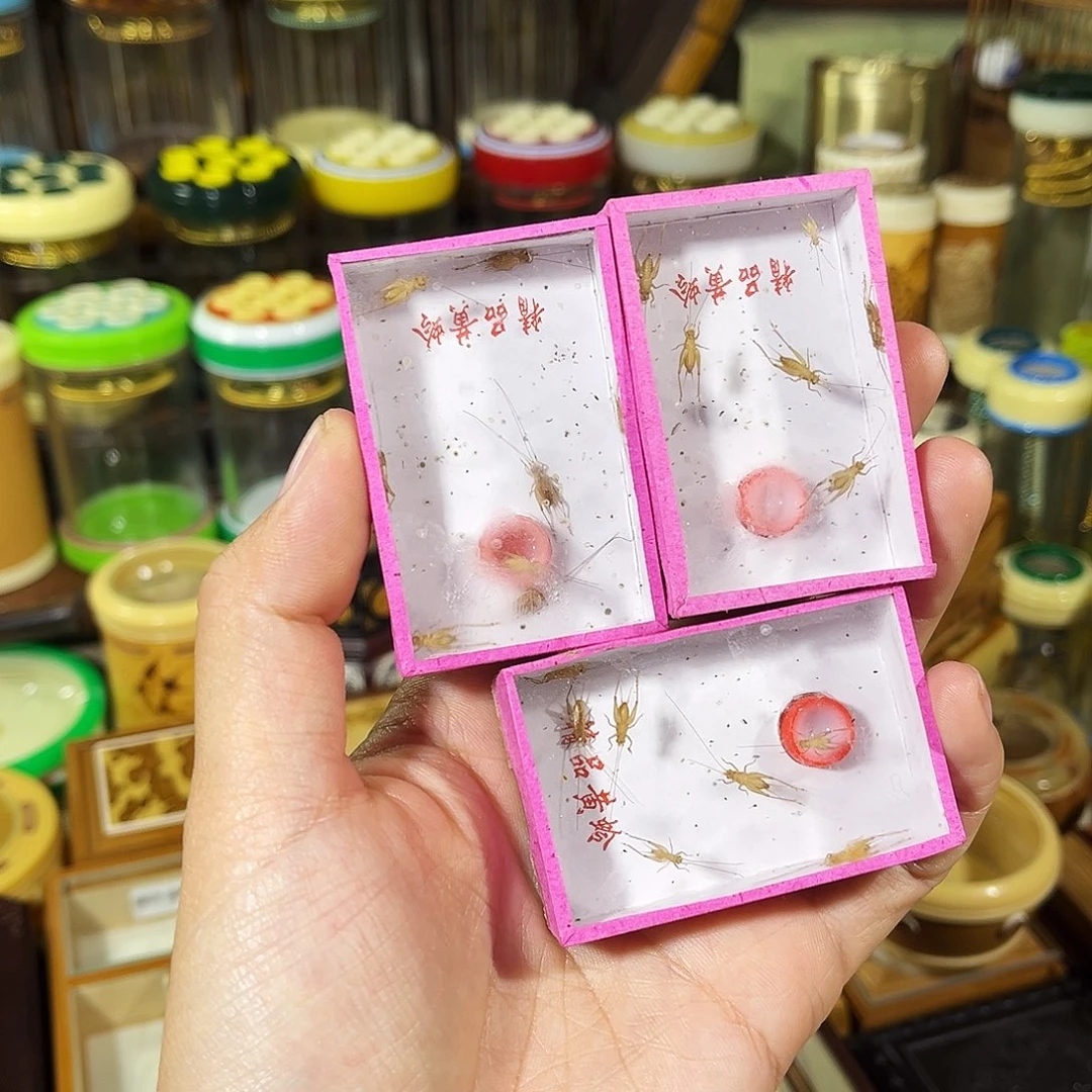 蟋蟀小黄蛉两盒送一盒