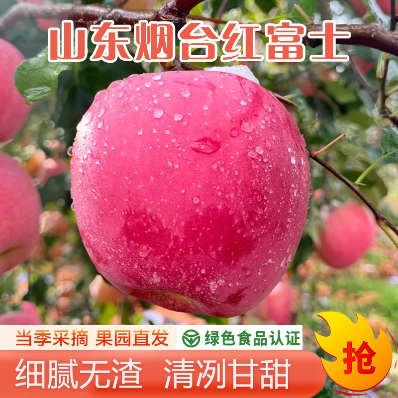 烟台栖霞【产地直发 绿色食品认证】霜降红富士苹果