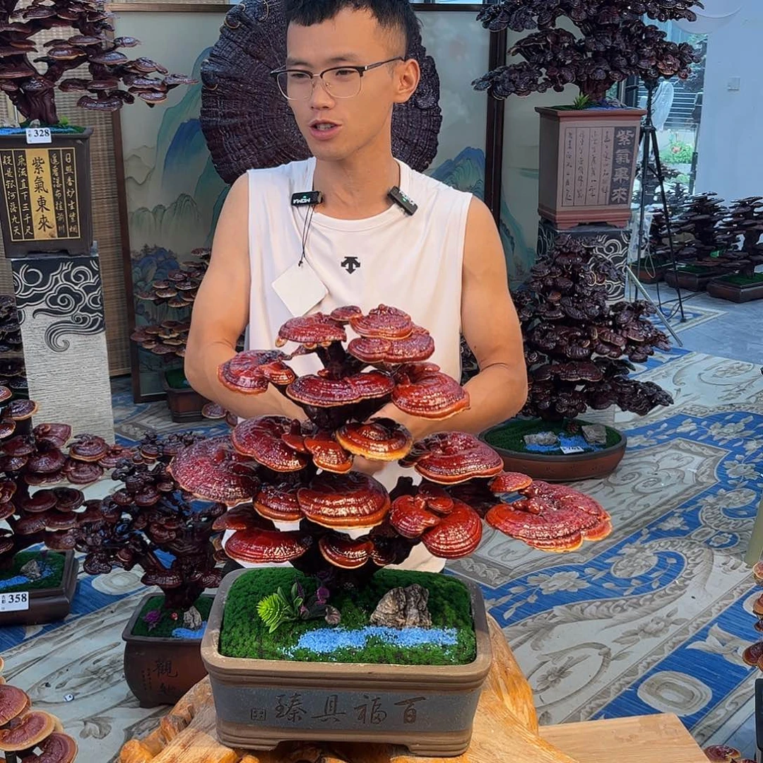 无花朵8988995555555555