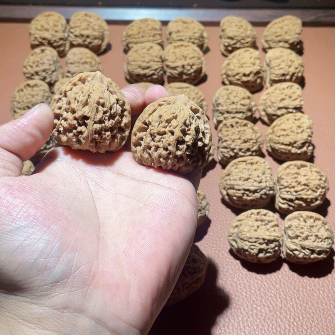 大叶紫檀（黑酸枝木类）