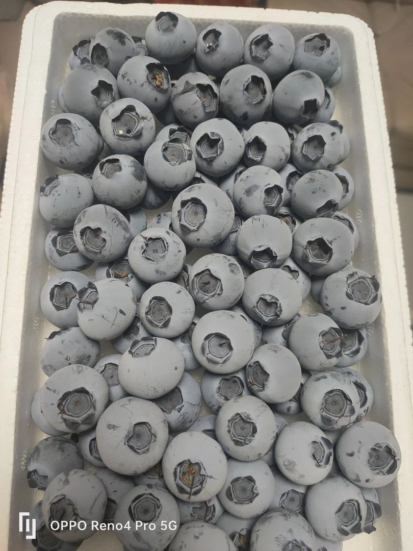 大连庄河C1清香蓝莓鲜果高端水果当季蓝梅高山怡颗南孕妇整箱顺丰