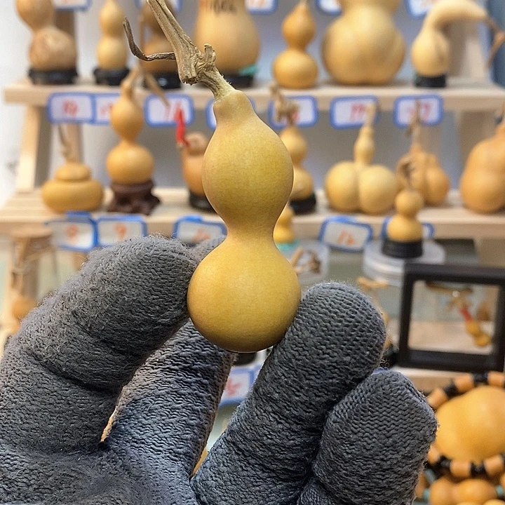 帅**盖直播间手把小葫芦